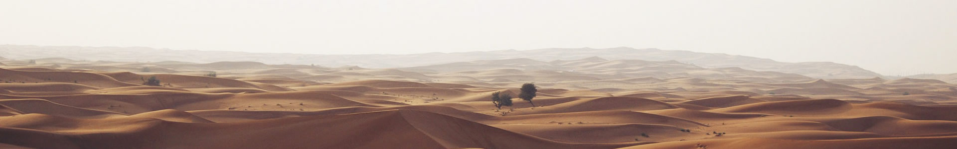 أ޹˾